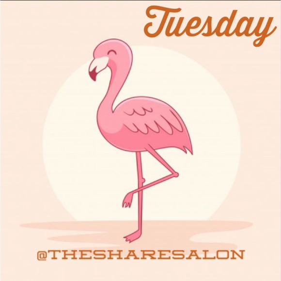 Tuesday - Picture 3 of 16